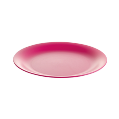 Lifestyle™ 26cm Dinner Plate