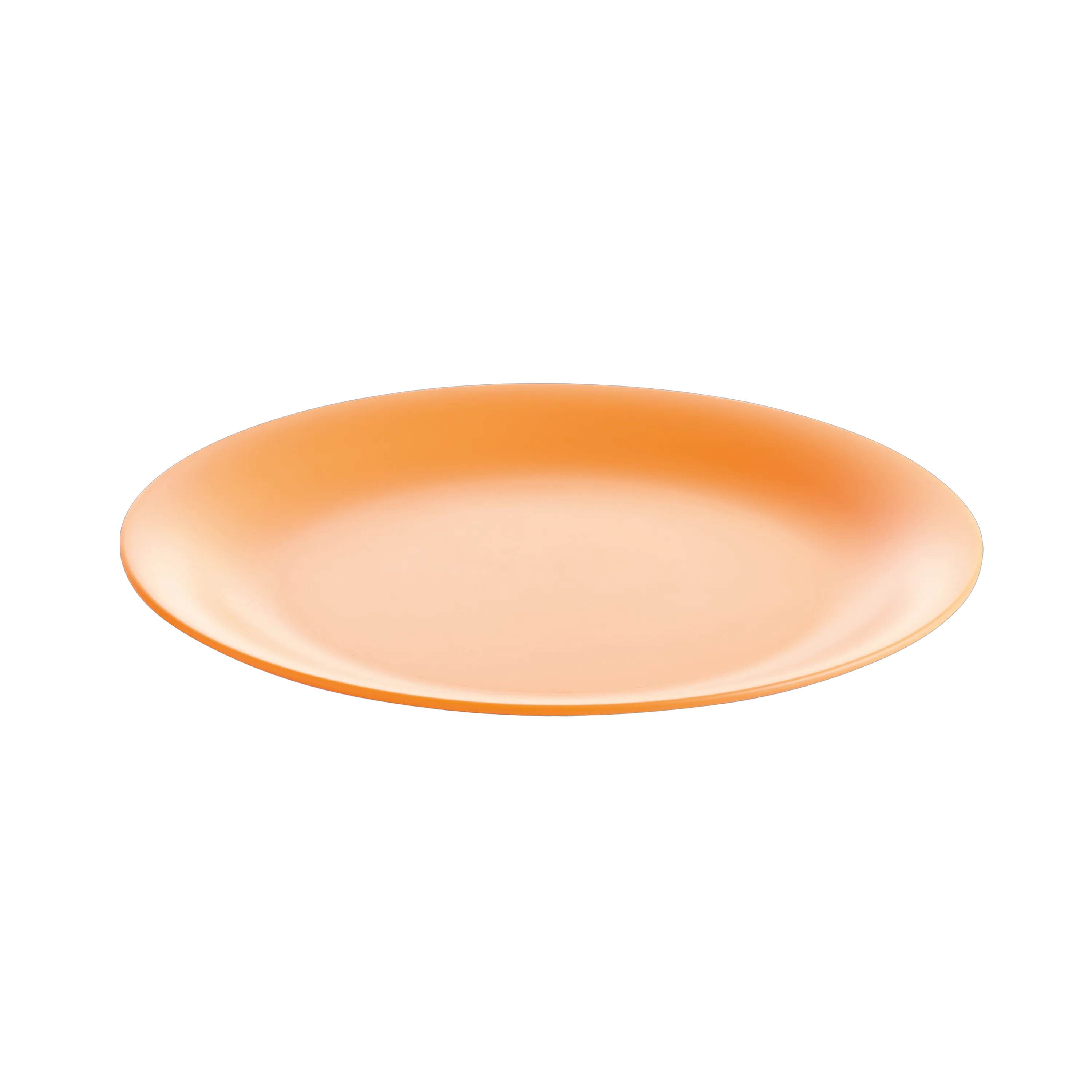 Lifestyle™ 26cm Dinner Plate