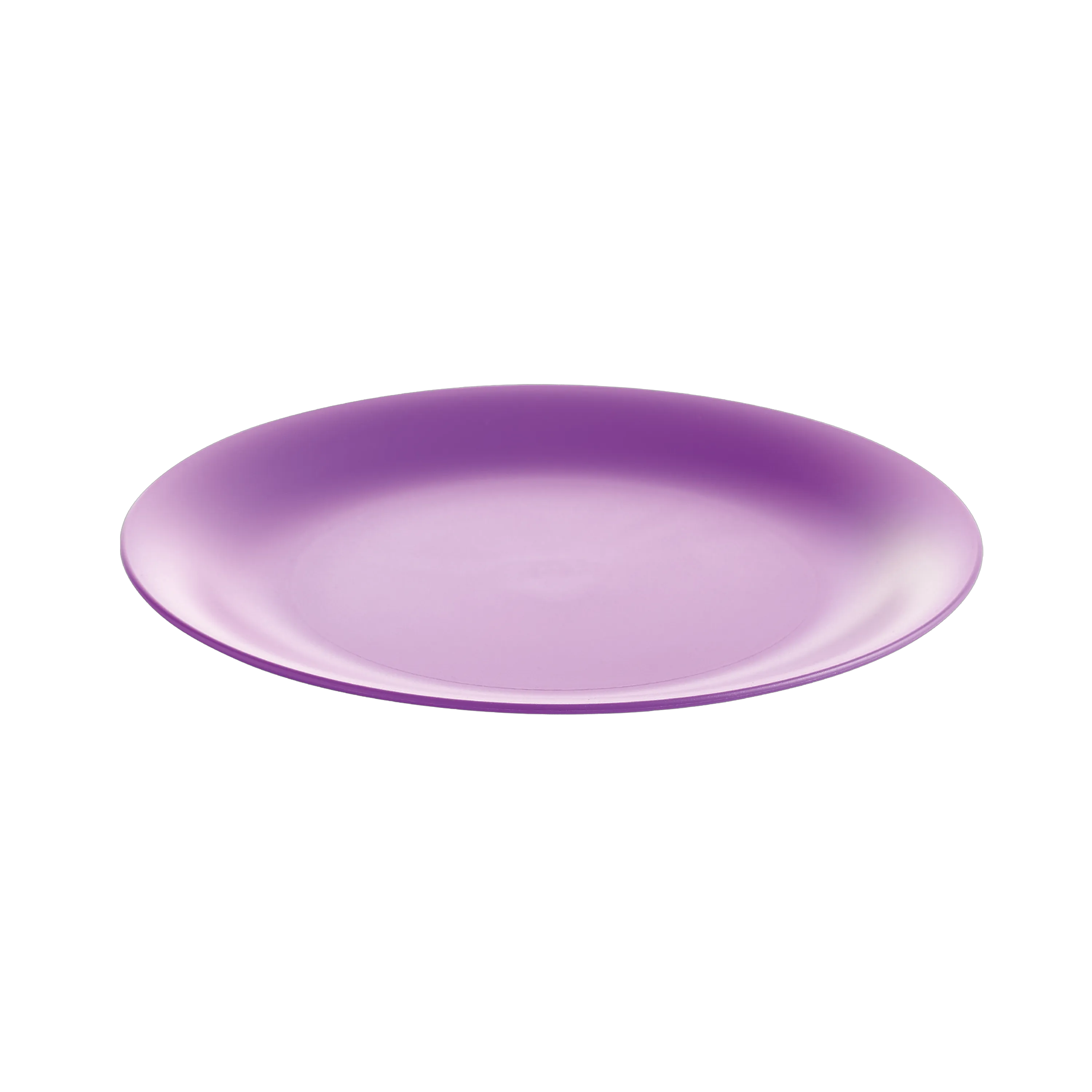 Lifestyle™ 26cm Dinner Plate