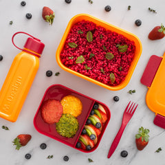 1.6L Fresco™ Lunch Box